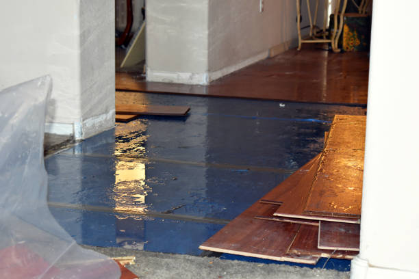 Professional Flood Cleanup technician working in Moscow, ID
